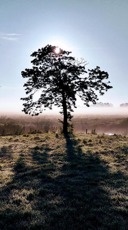 B&Bslapenopeeneiland カーグ エクステリア 写真