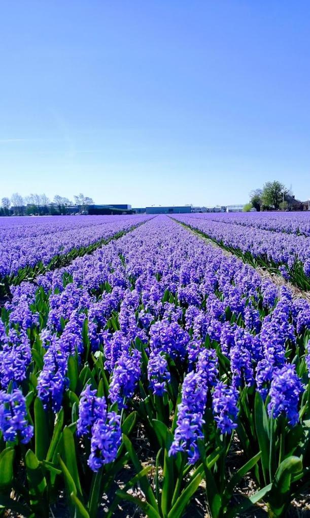 B&Bslapenopeeneiland カーグ エクステリア 写真
